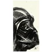 Star Wars Darth Vader Canvas Giclee