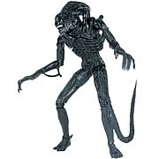 Kotobukiya Alien Warrior & Chestburster Vinyl Model Kit