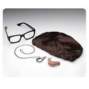 Austin Powers Deluxe Costume Accessories