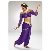 Jasmine Deluxe Adult Costume