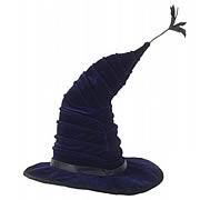 Harry Potter Madame Hooch Hat