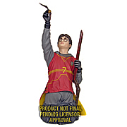 Harry Potter in Quidditch Gear Mini Bust