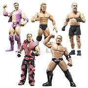 WWE Classic Superstars Wave 15 Action Figure Case