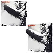 Led Zeppelin 1 3-D Album Cover