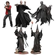 Harry Potter Action Figure Case