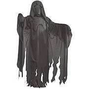 Harry Potter: Adult Dementor Costume