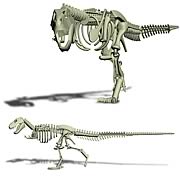 Stikfas Tyrannosaurus Dinosaur