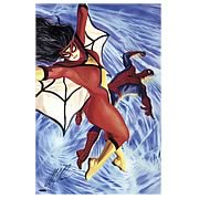 Alex Ross Spider-Man and Spider-Woman Unframed Signed Giclee