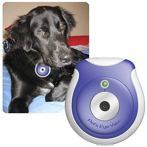 Pet Eye View Digital Camera
-
Uncle Milton
-
Science
-
Educational Toys at Entertainment Earth