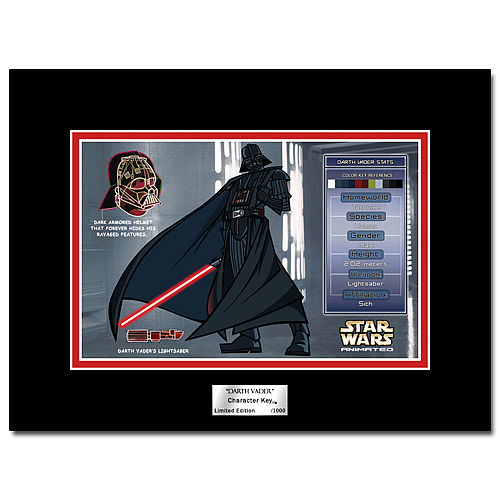 Star Wars Animated Darth Vader Character Key