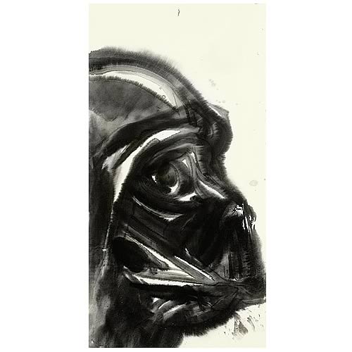 Star Wars Darth Vader Canvas Giclee