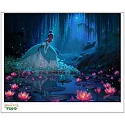 AMWDPAF07 Anika Noni Rose (Princess Tiana) Takes Her Turn at Narrating Epcots Candlelight Processional December 6 8
