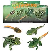 Evolving Tadpoles Figure Set