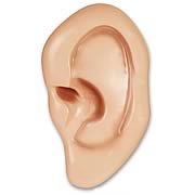 Giant Ear Novelty Replica
