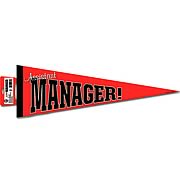 Assistant Manager Fabric Pennant