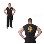 Karate Kid Cobra Kai Adult Basic Costume