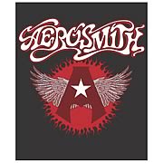 Aerosmith Micro Raschel Fleece Blanket