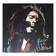 Bob Marley Microphone Canvas Print