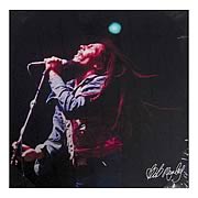 Bob Marley Concert Canvas Print