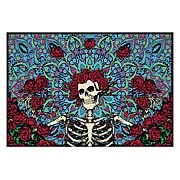 Grateful Dead Bertha Blue/Red Micro Raschel Fleece Blanket
