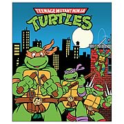 Teenage Mutant Ninja Turtles Micro Raschel Fleece Blanket