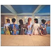 Pink Floyd Backs Micro Raschel Fleece Blanket
