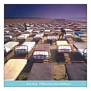 Pink Floyd Lapse of Reason Canvas Print