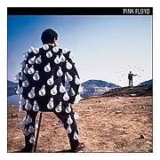 Pink Floyd Delicate Sound Canvas Print