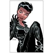 Catwoman Graphic Novel