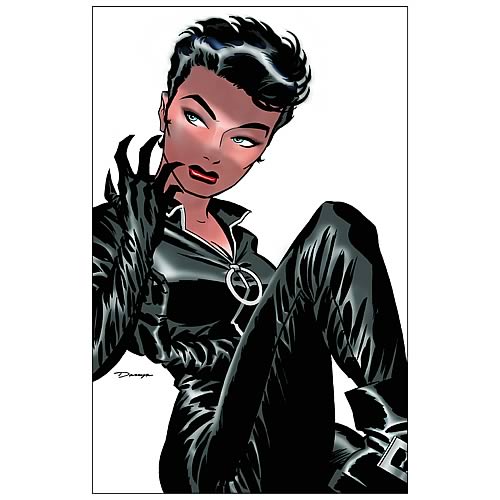 Catwoman Graphic Novel
