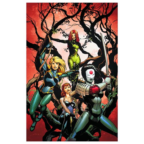 Birds of Prey Volume 1 Graphic Novel
