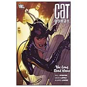 Catwoman The Long Road Home Graphic Novel