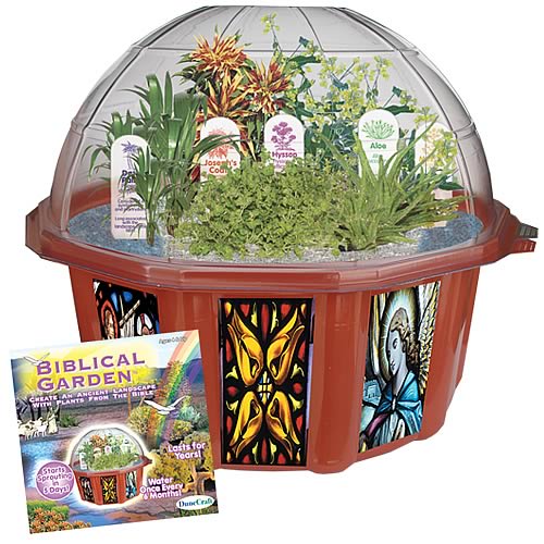 Biblical Garden Terrarium Kit