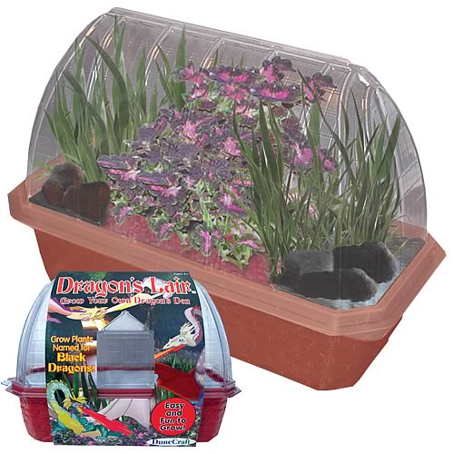 Dragon's Lair Windowsill Garden