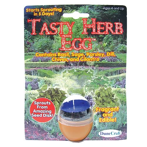 Tasty Herb Egg Terrarium Kit