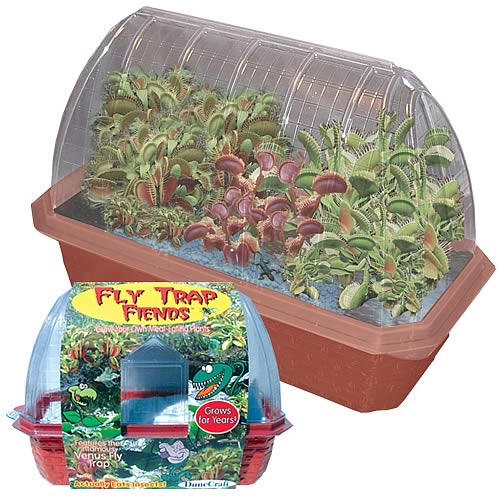 Fly Trap Fiends Windowsill Garden