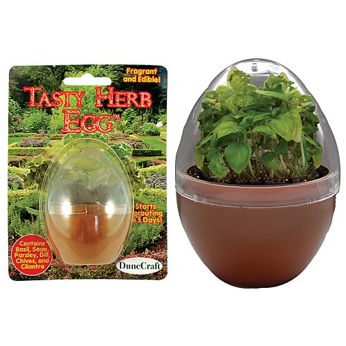 Tasty Herb Egg Micro Terrarium