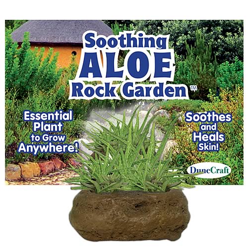 Soothing Aloe Rock Garden