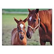 Mare & Foal Cardboard Jigsaw Puzzle