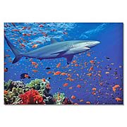 Shark Cardboard Jigsaw Puzzle