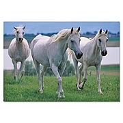 White Stallions Cardboard Jigsaw Puzzle
