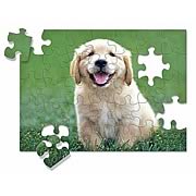 Golden Retriever W/Puppies Cardboard Jigsaw Puzzle