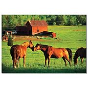 Kissing Horses Cardboard Jigsaw Puzzle