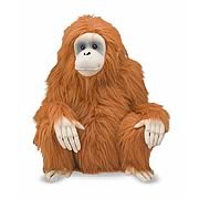 Orangutan Plush Toy