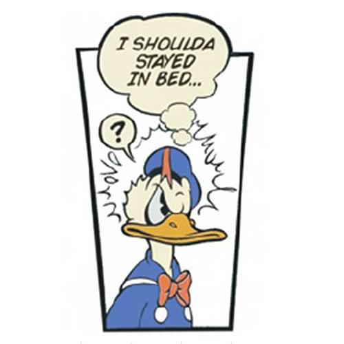 Donald Duck Shoulda Stayed In Bed Stone Artwork