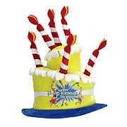 Dr. Seuss Happy Birthday To You Hat