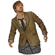 Harry Potter Remus Lupin Mini Bust