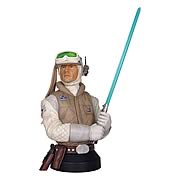 Star Wars Luke Skywalker Hoth Mini Bust