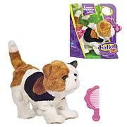 Furreal Friends Newborn Calico Kitten Pet