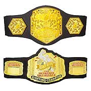 UFC Championship Belts Wave 2 Case